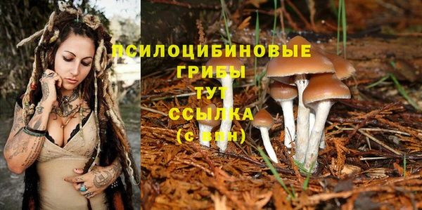 Альфа ПВП Нея