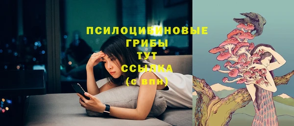 герыч Новодвинск