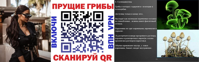 Купить  Духовщина  Галлюциногенные грибы прущие грибы 